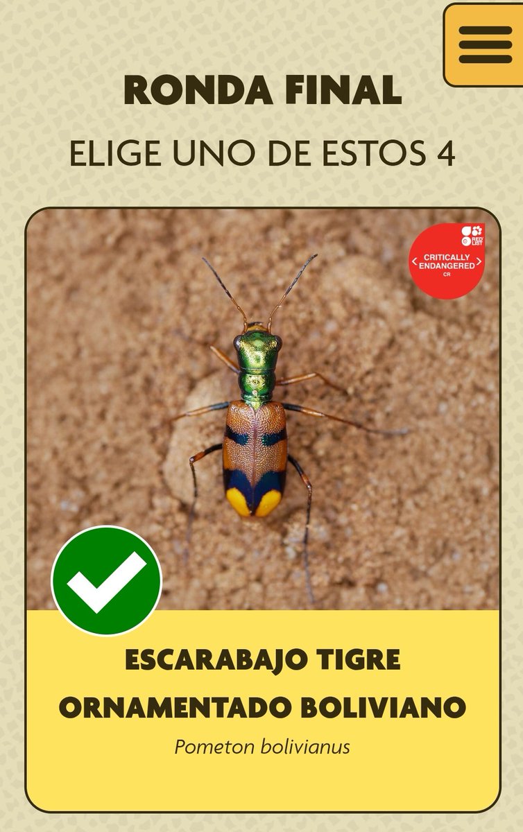 Anita Porota tweet media