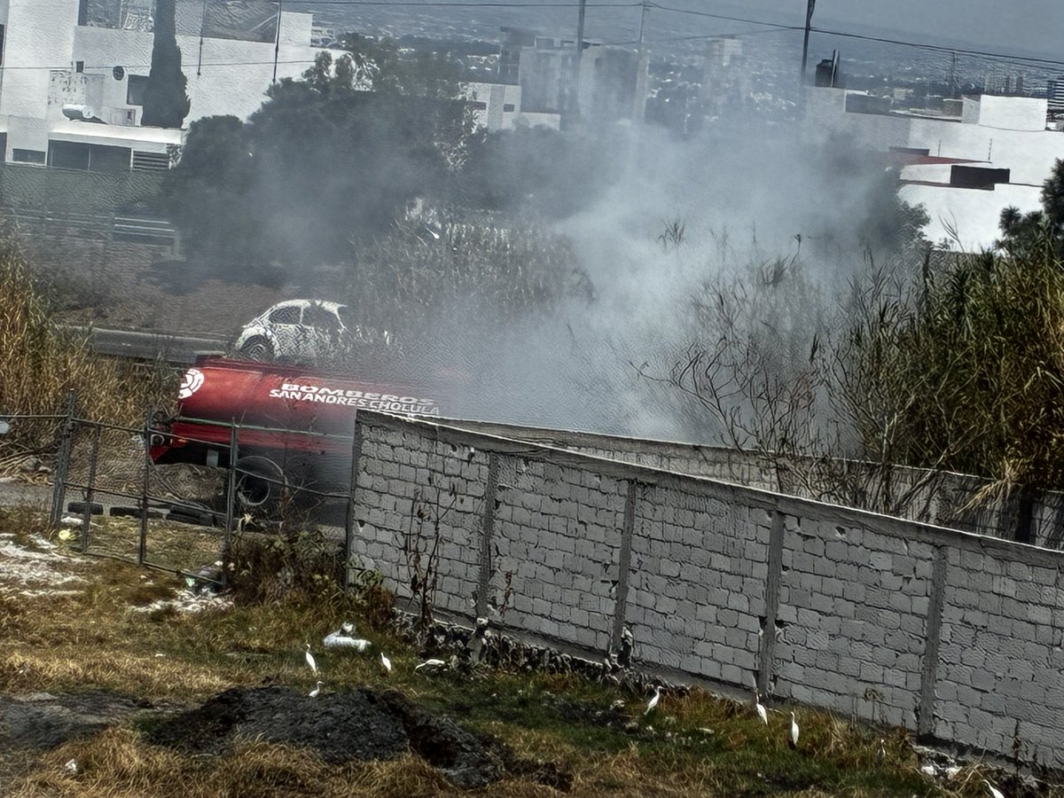 José Armando López Portillo tweet media