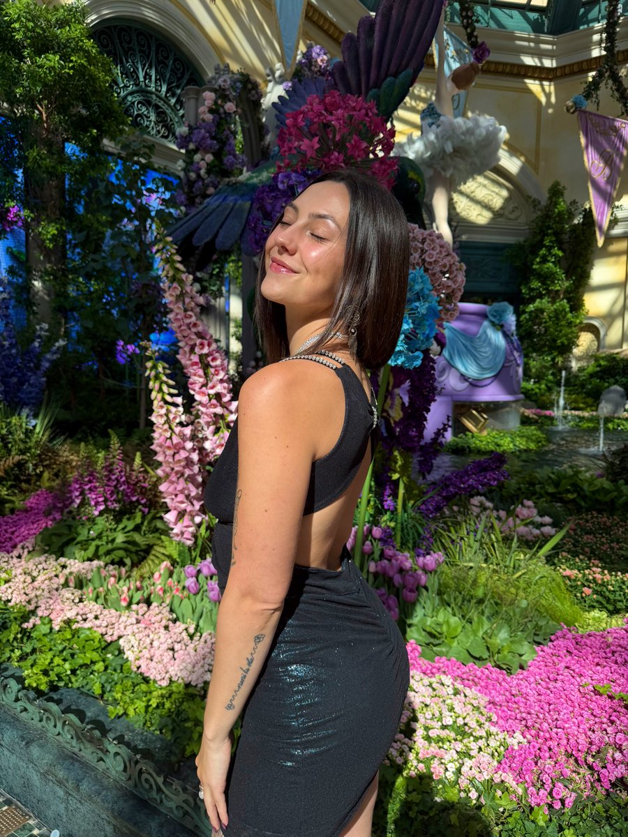 soph🧚🏻 tweet media