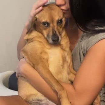 la marquesa 𓆘 tweet media