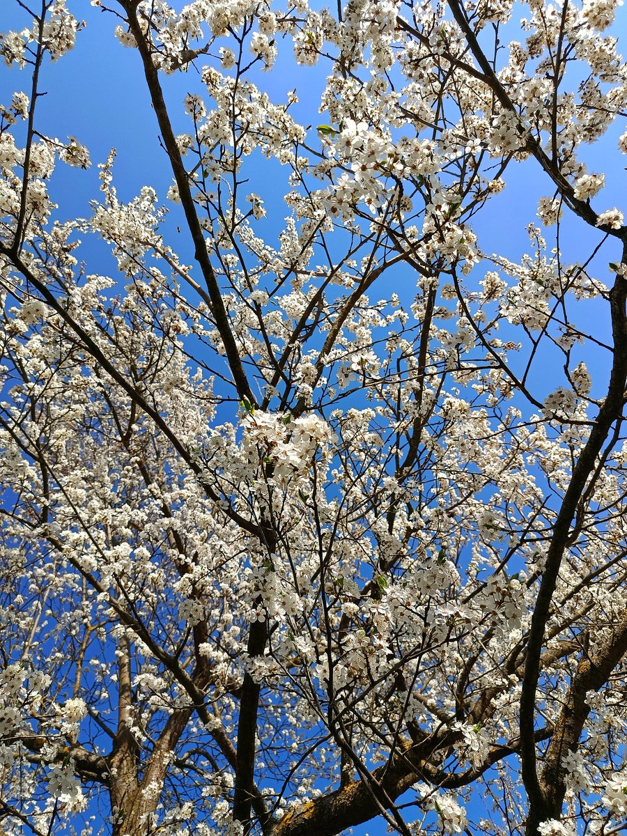 Naughty & polite 🌻 tweet media