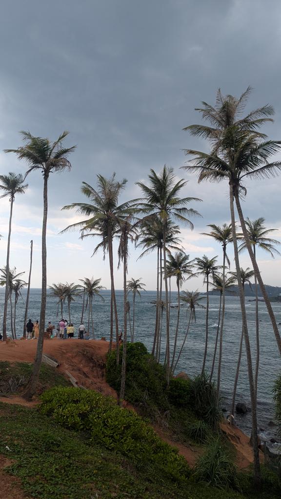 vigneshj619's tweet photo. Day 6: Mirissa
Coconut tree hill: Finally beach time
Good photo point 
Mirissa beach: Climb parrot rock
Unawatuna: Went to see and feed turtles, Dalawella beach
Lot of home made cafes: Best Sri Lankan food (Rice and curry plate) https://t.co/Ayo3aVTHYW