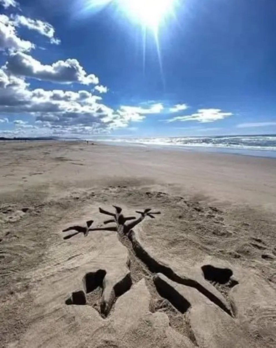 World's Amazing Things tweet media