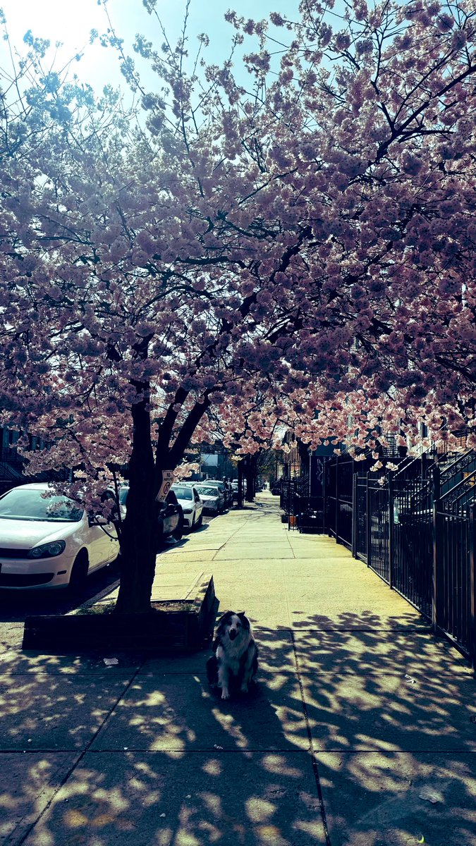 Lily Ray 😏 tweet media