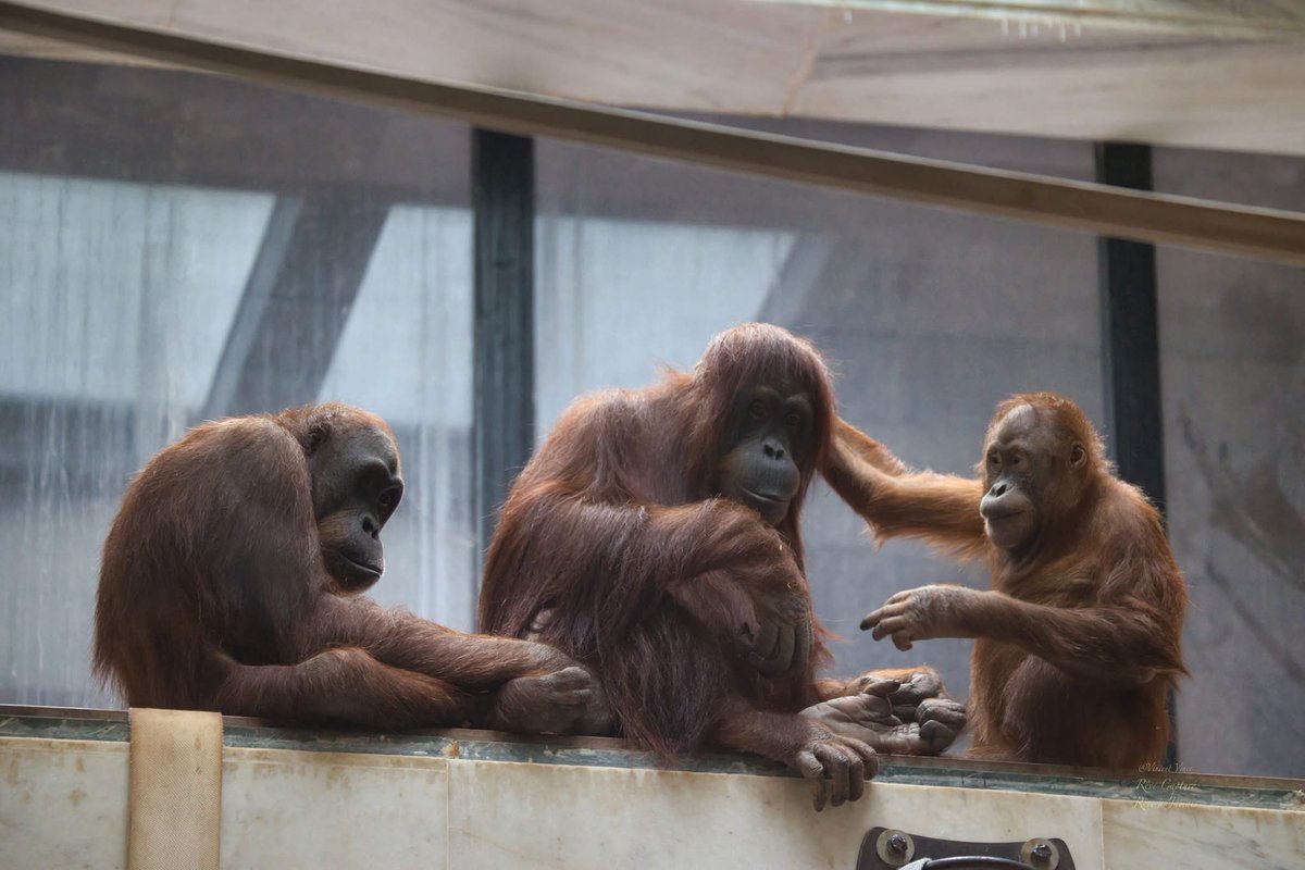 🧸 LAUREN 🧸 tweet media