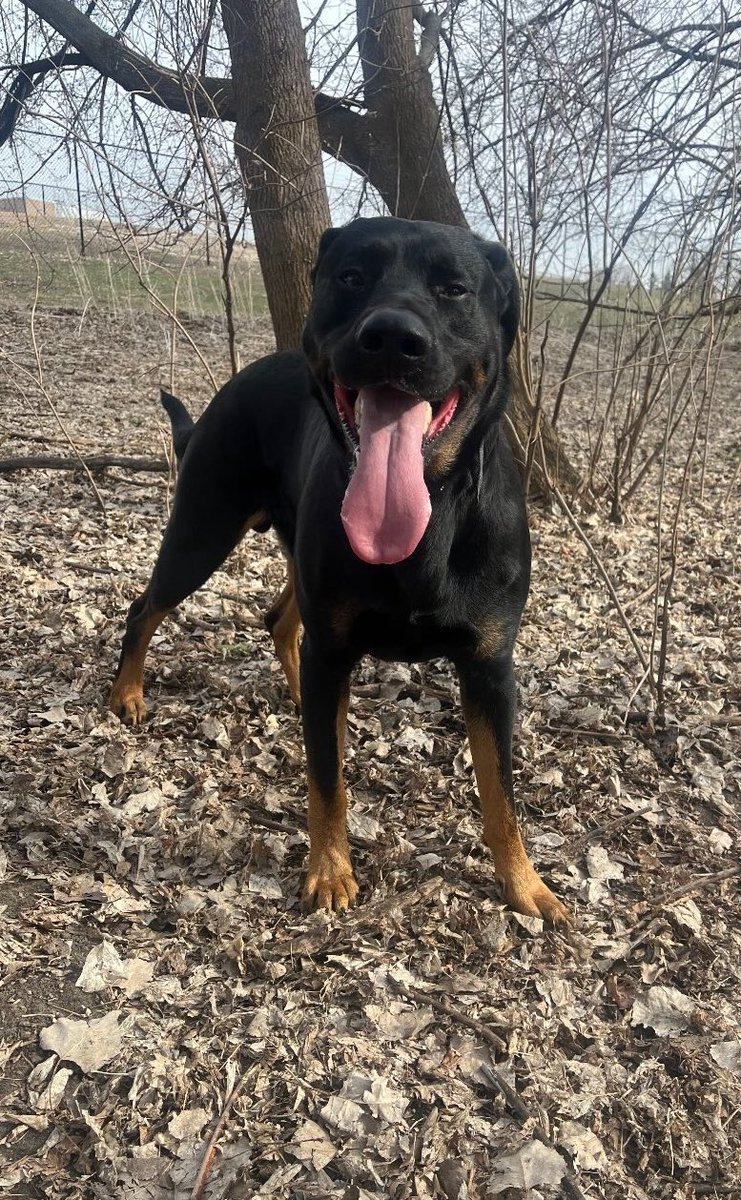 KryptoDavid888 tweet media