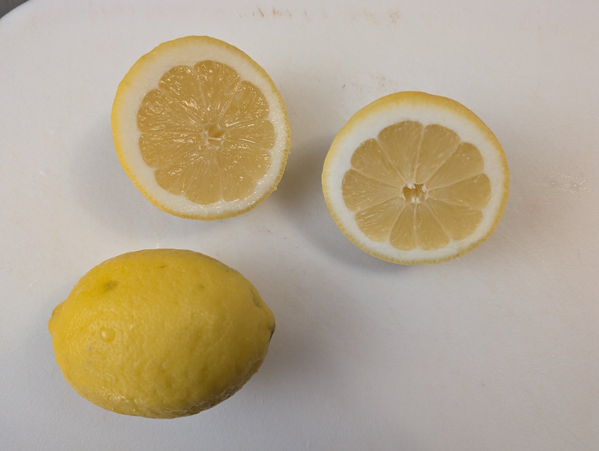 JakeR (retired from trolling) tweet media