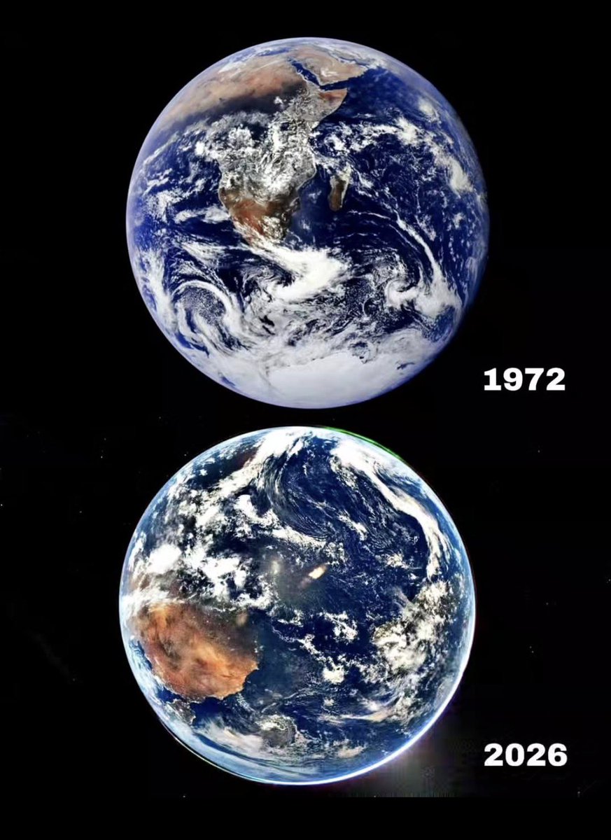 Cinefilia Cult tweet media