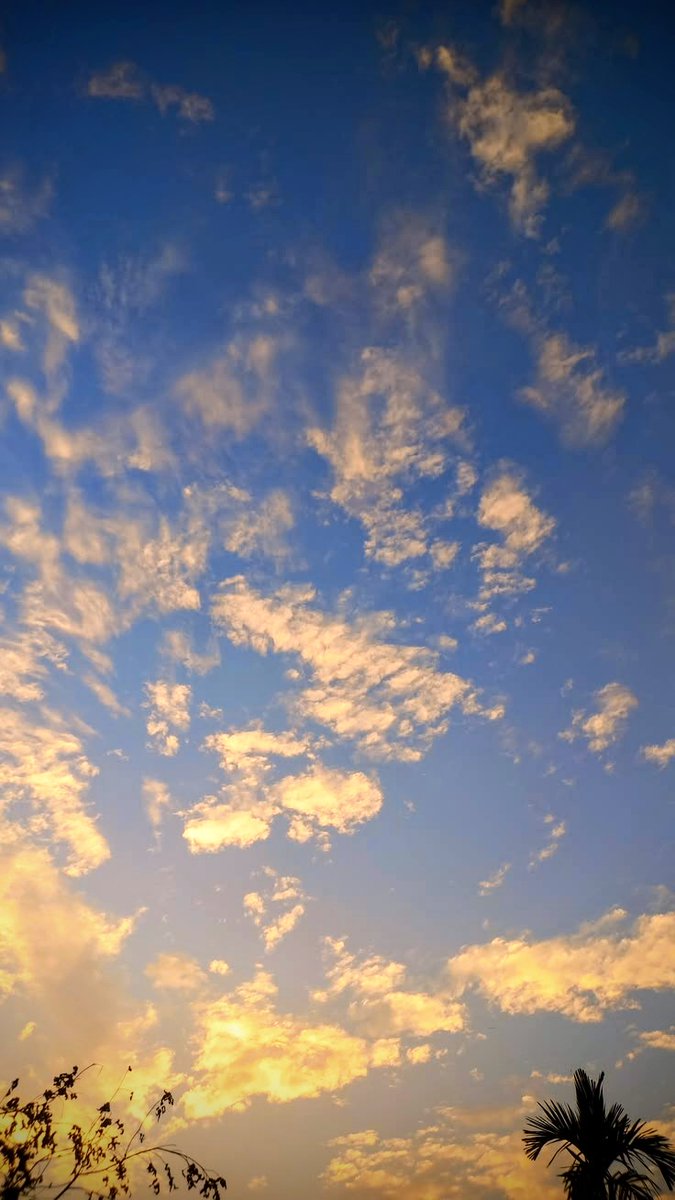 MB96 🩺🏨 tweet media