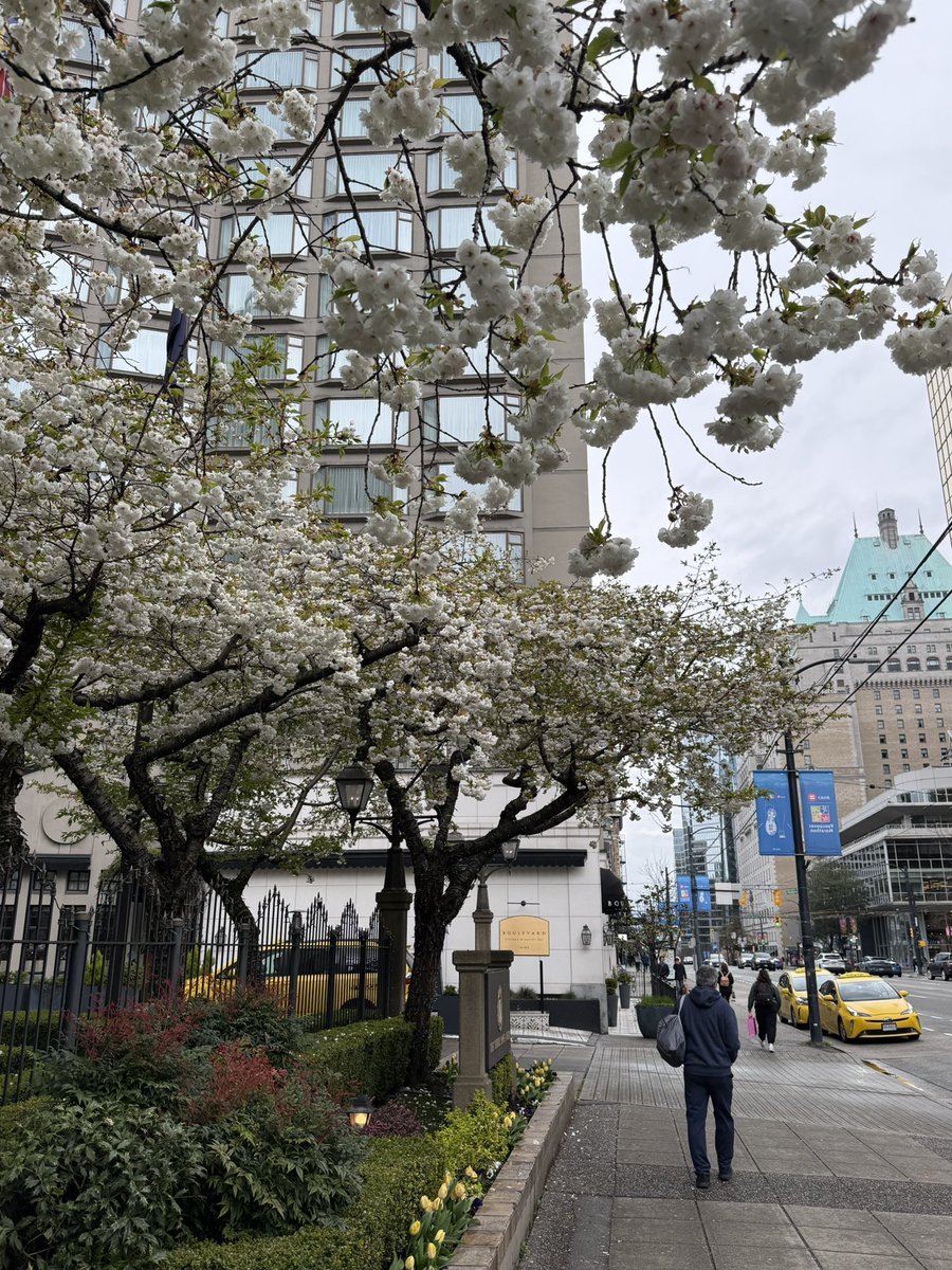 バンクーバー現地情報🇨🇦 tweet media