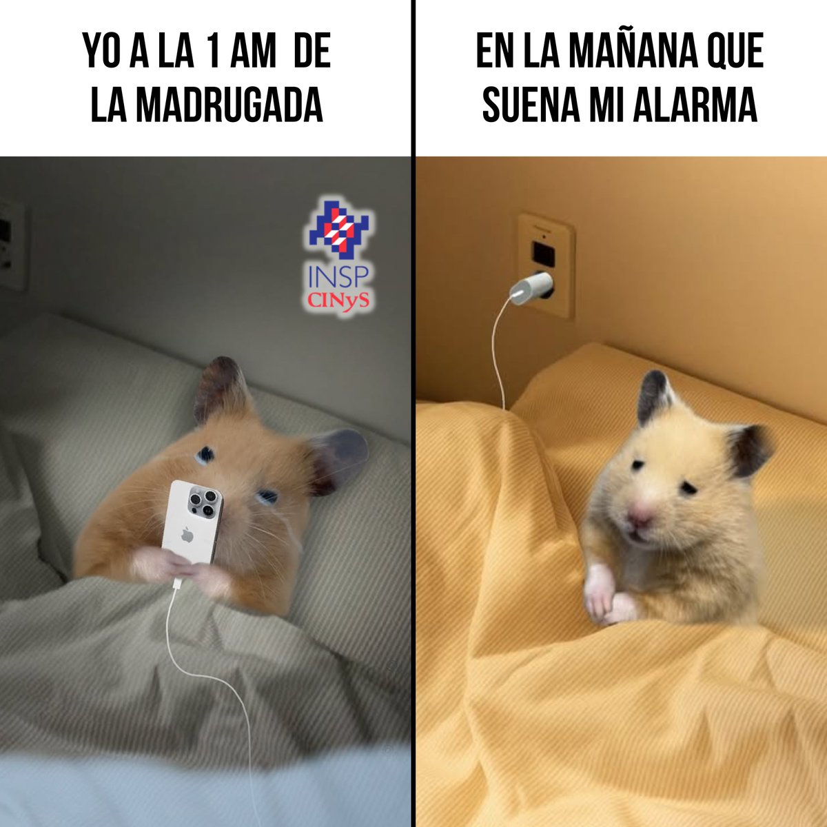 CINyS - INSP tweet media