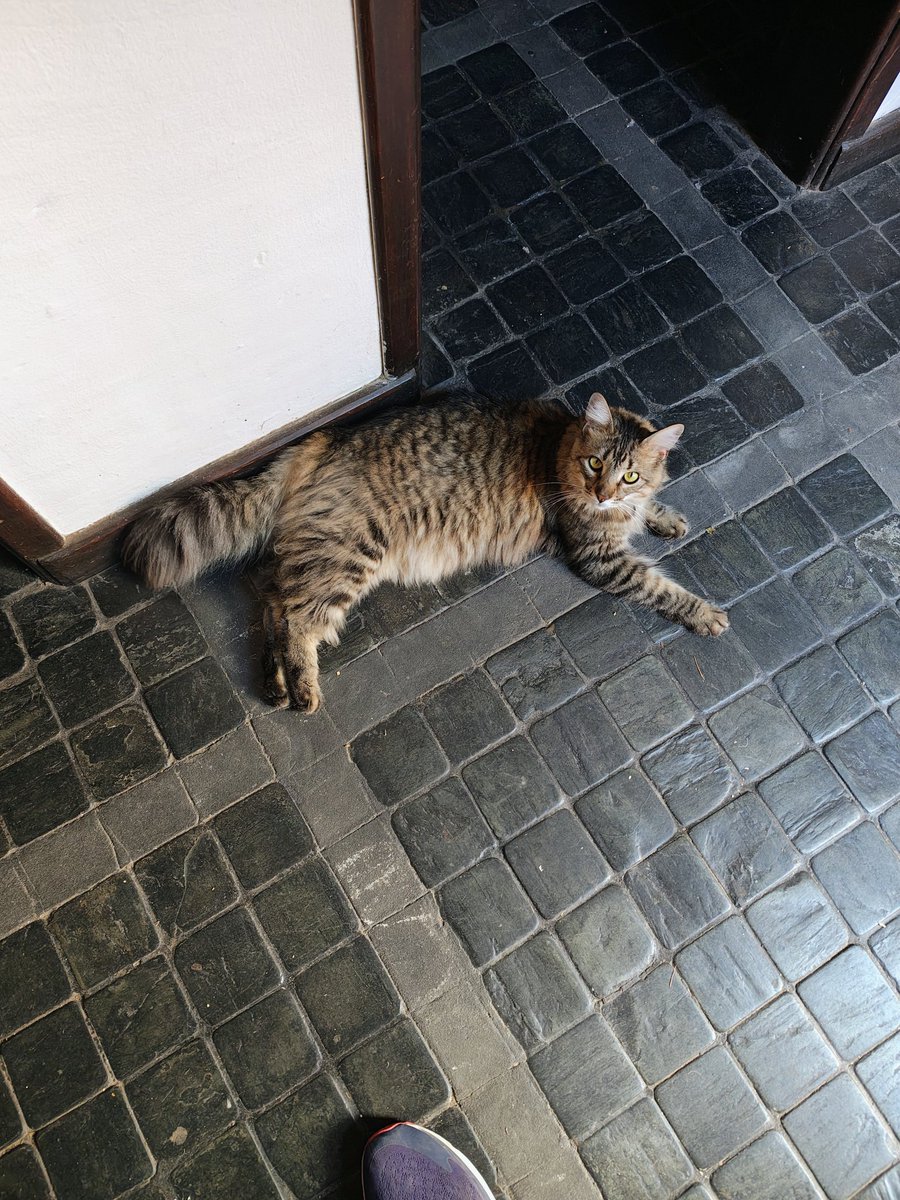 Martin (Tito's dad🧡) tweet media