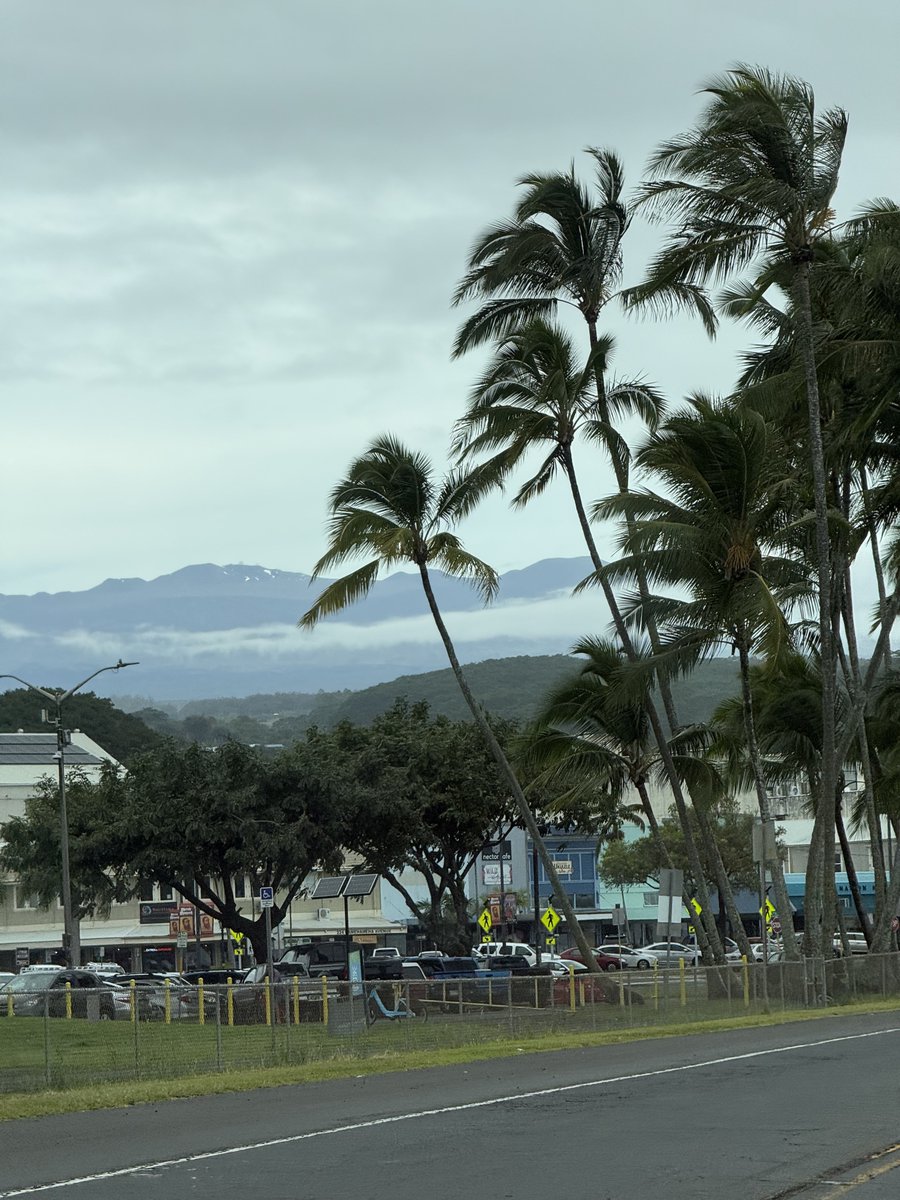 JWEscreenshots tweet media