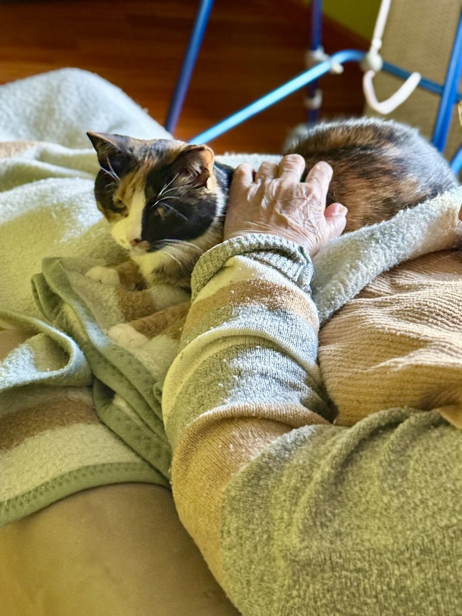 Andrzej z EU 🇪🇺🇵🇱🇺🇦🇮🇱 tweet media