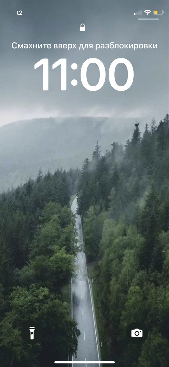 Господин рыба tweet media