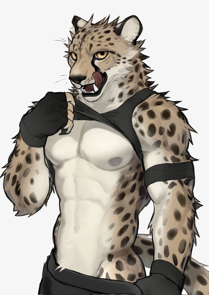 Daemon 🐆🐾 tweet media