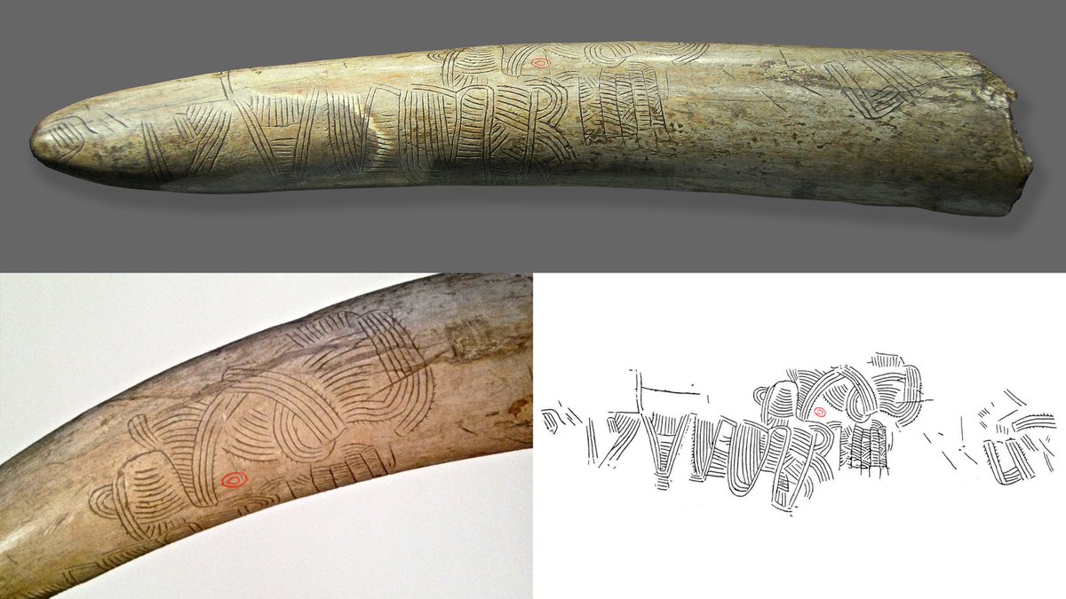 Archaeo - Histories tweet media