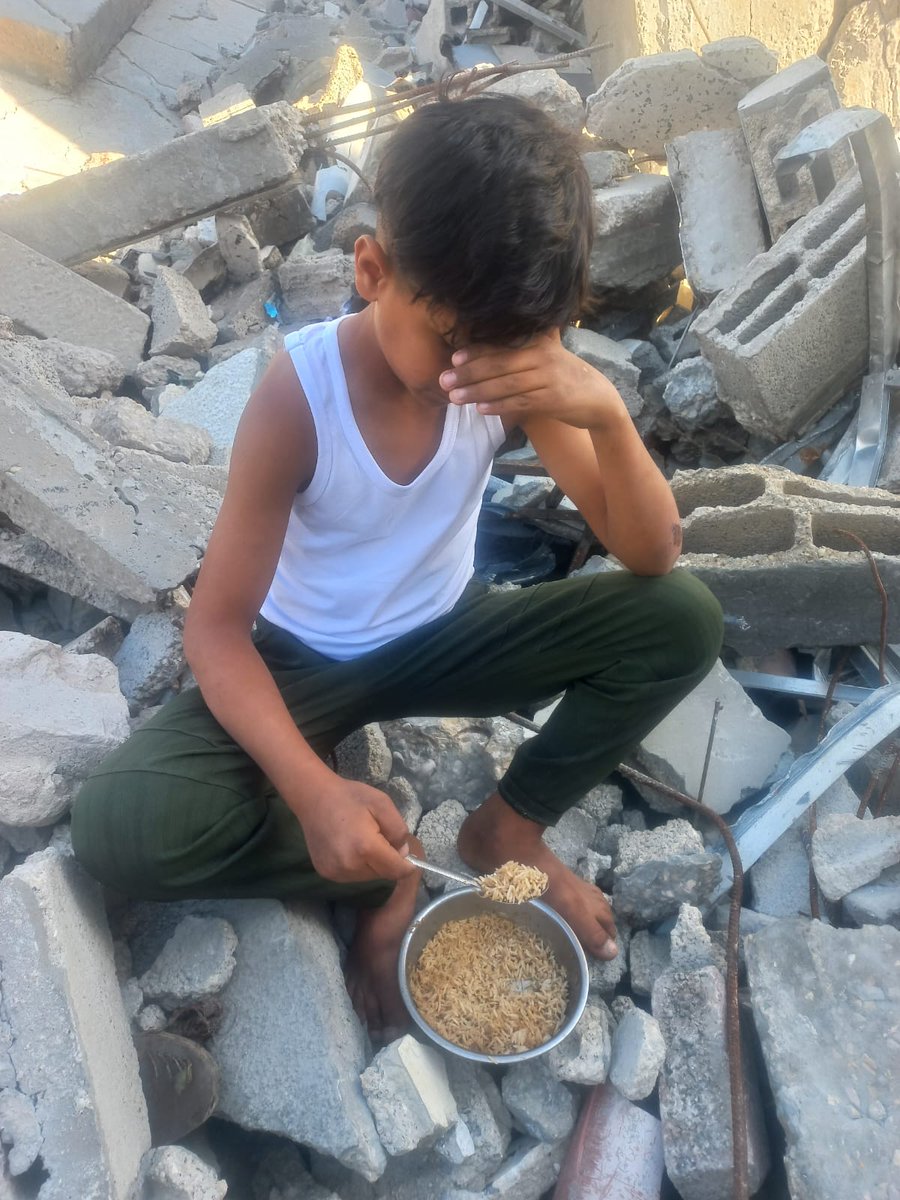 mne_mtr 🇵🇸 tweet media