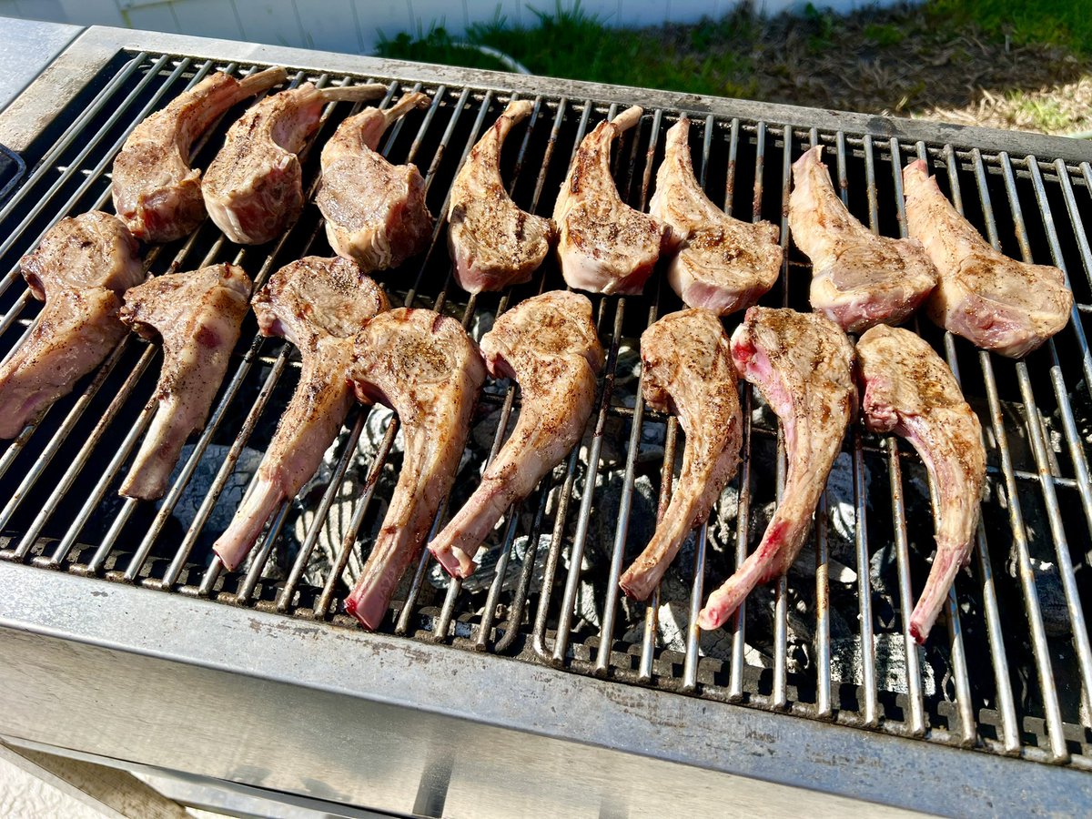 Vladimir V. tweet media