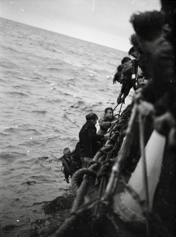 Martin Taylor-Smith tweet media