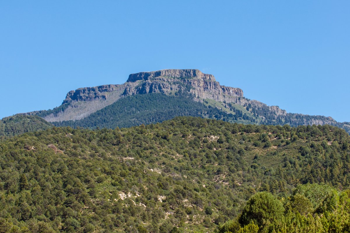Colorado Parks and Wildlife tweet media