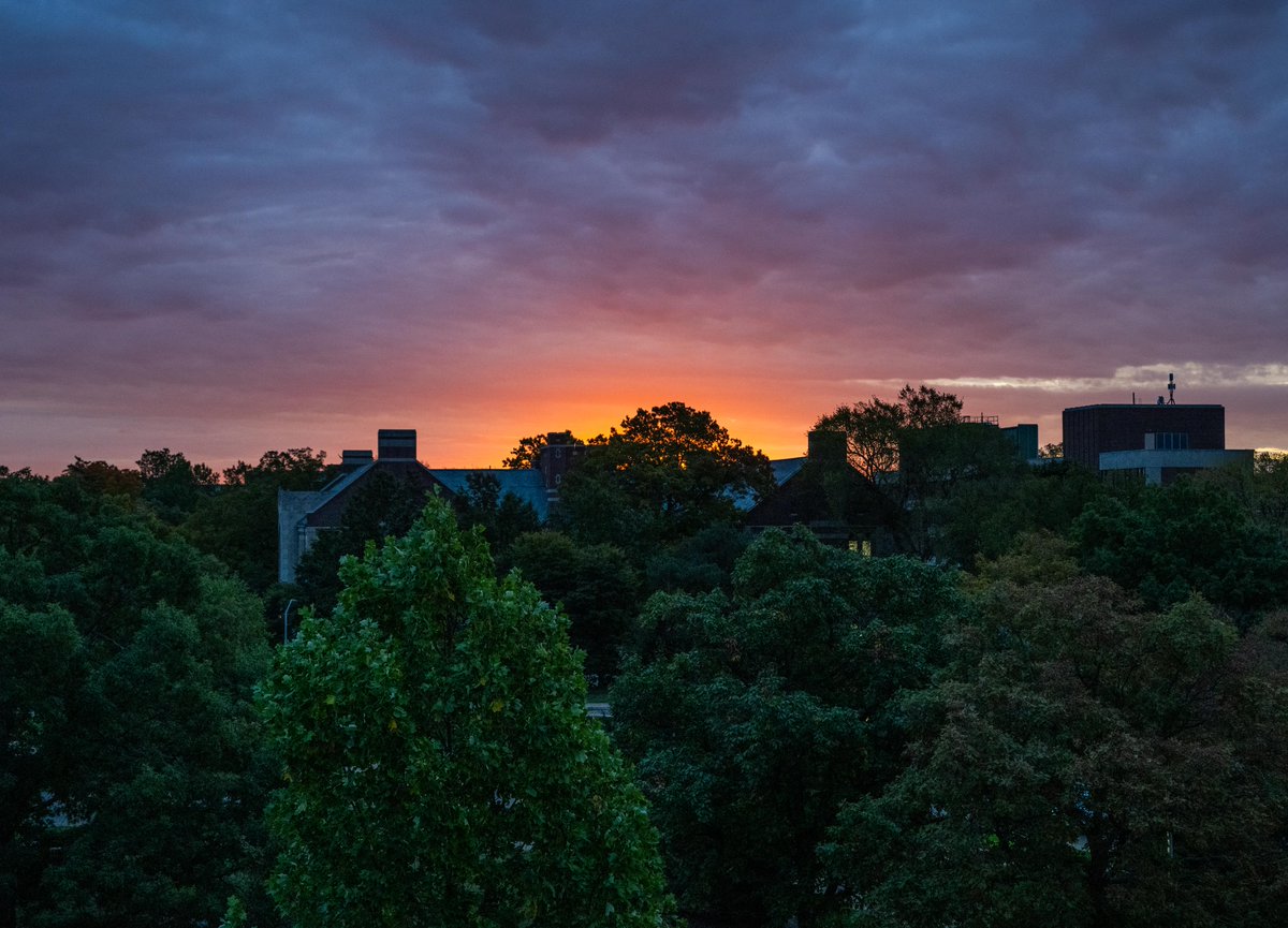 MSU, we love thy shadows.