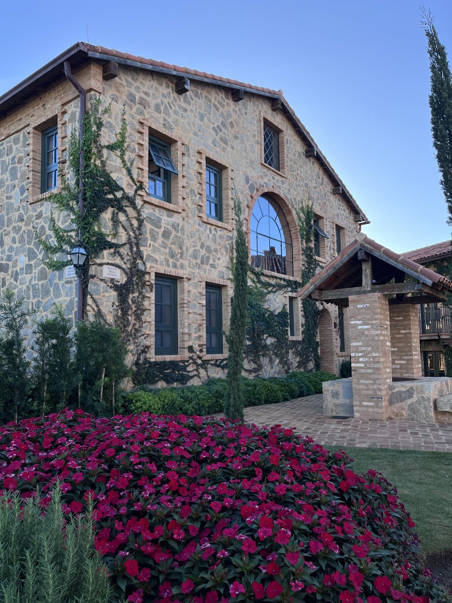 Laís Gomes tweet media