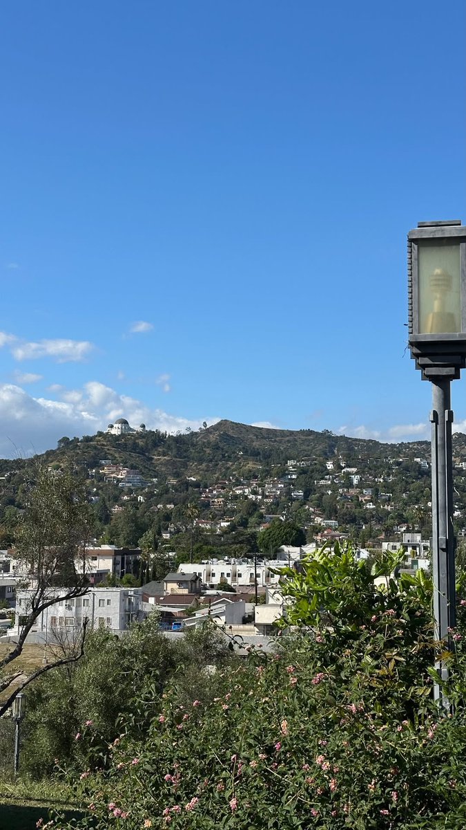 Omar Rudberg Pop Base tweet media