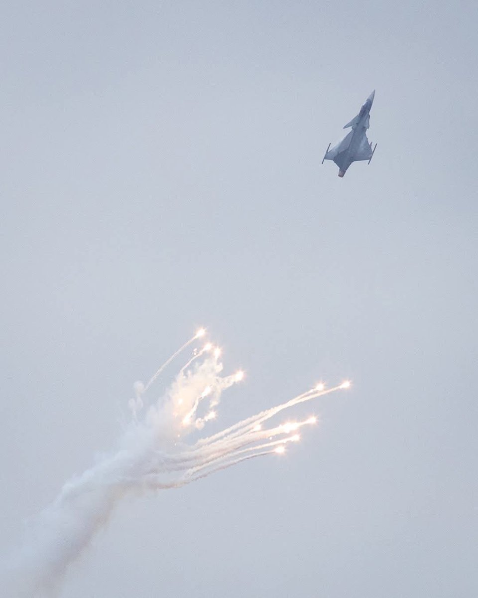 Inkan 🇸🇪 Longstocking #де ти tweet media