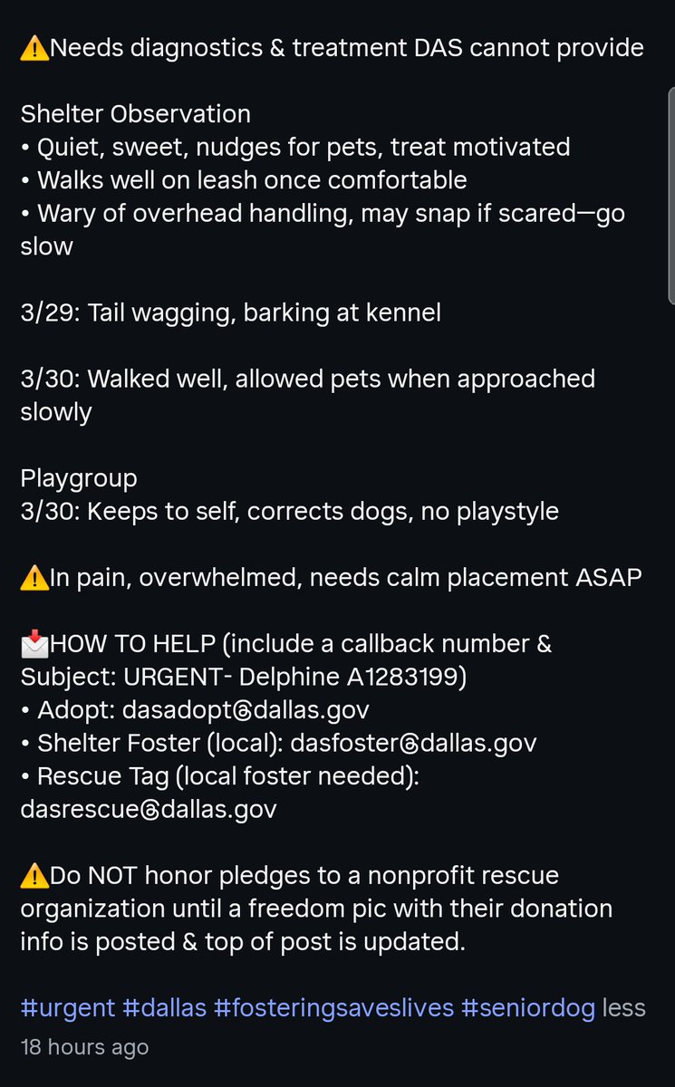 Foster a shelterpet at ZERO COST🐾 tweet media