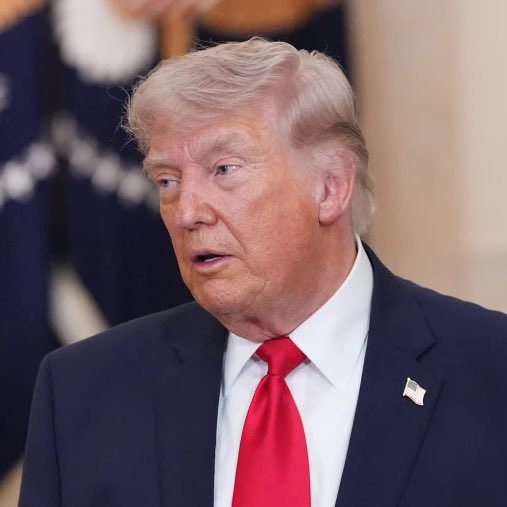 Whale Insider tweet media