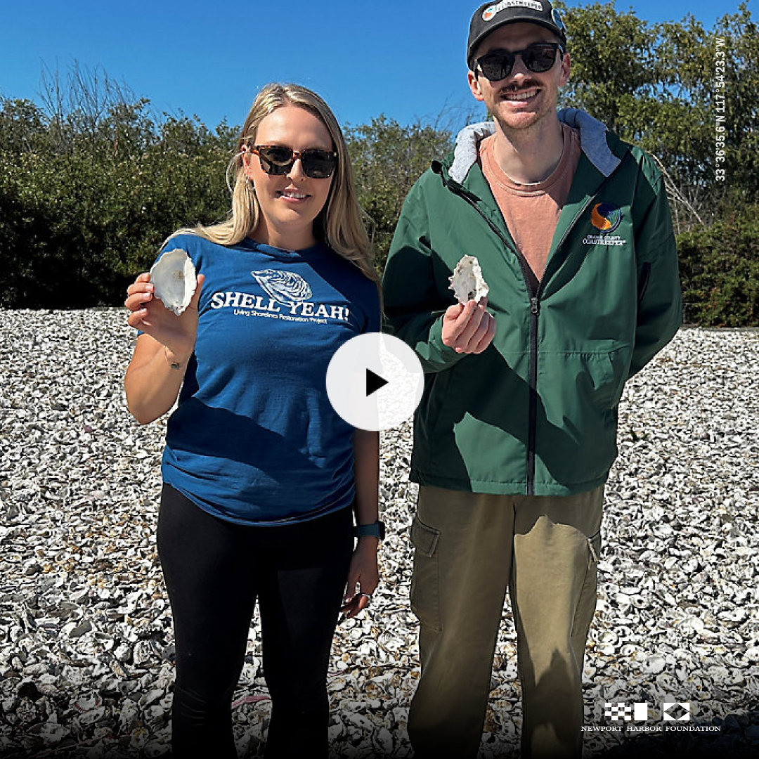 NwprtHrbrFndtn's tweet image. NEWS VIDEO

Locals Partnering for a Healthy Newport Harbor

Watch the video:
bit.ly/4v8Oa9C 
Source: Spectrum News

#NewportHarborFoundation #HealthyHarbor #NewportHarbor #ILoveNewportHarbor