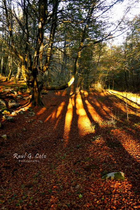 Turismo Castilla y León tweet media