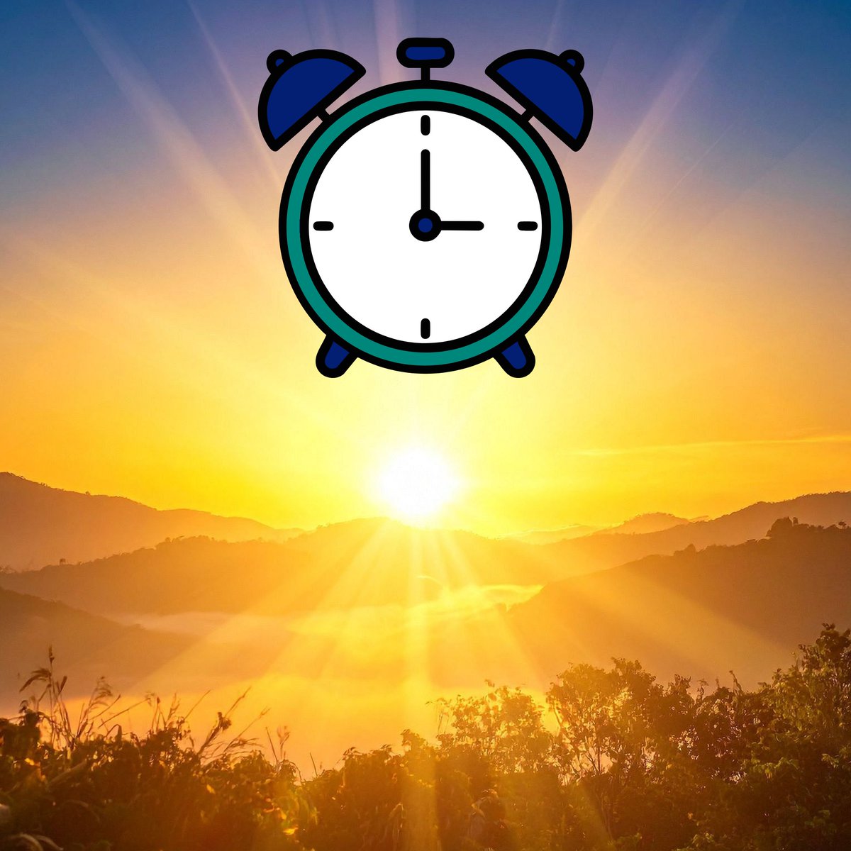 Meals on Wheels™ NSW tweet media