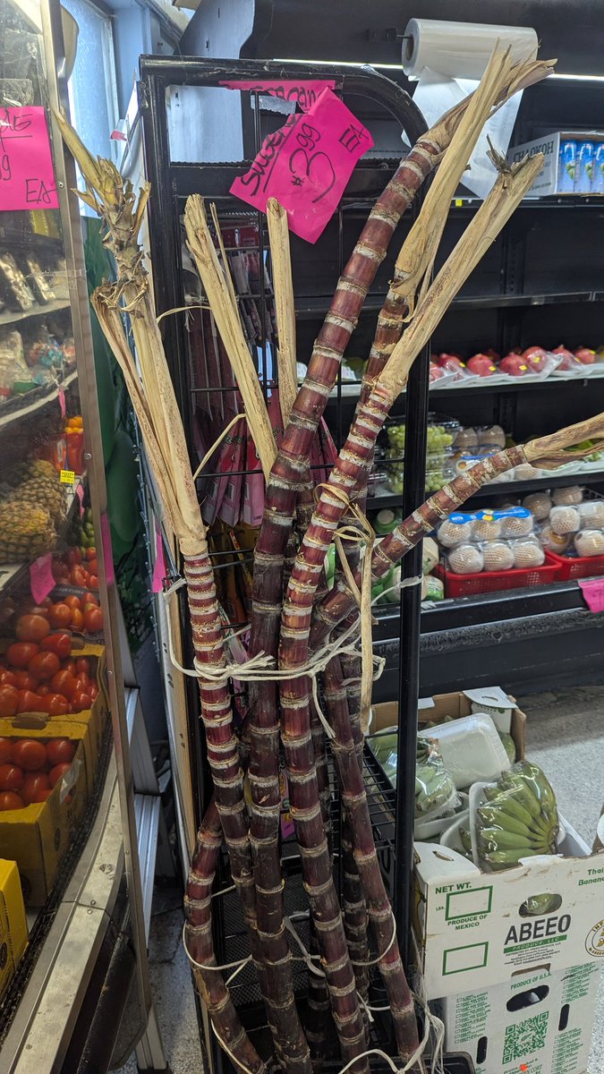 高达叔 tweet media