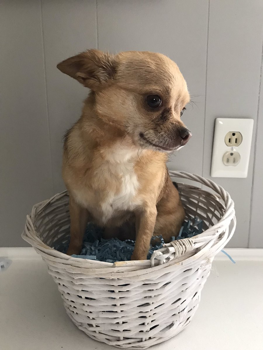 Sweet Man Stan tweet media