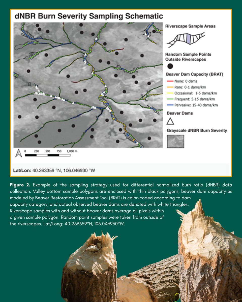 geosociety tweet media