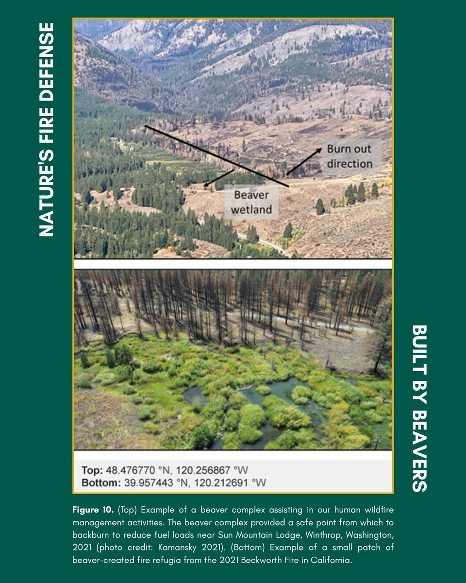 geosociety tweet media