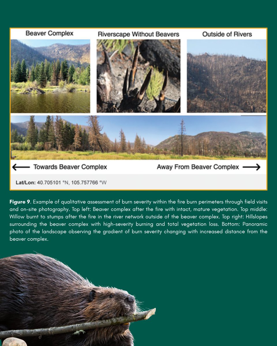 geosociety tweet media