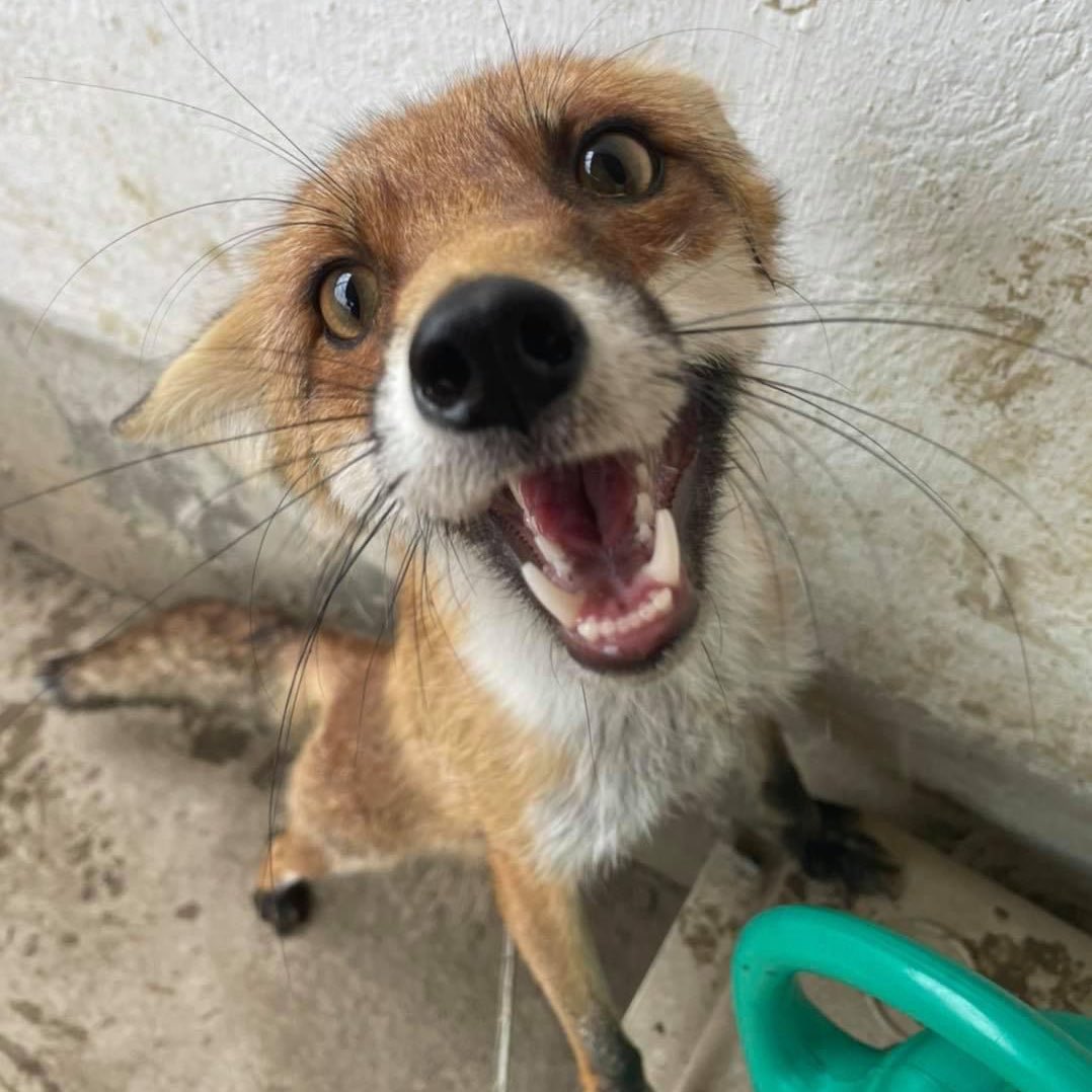 elias ²⁵ tweet media