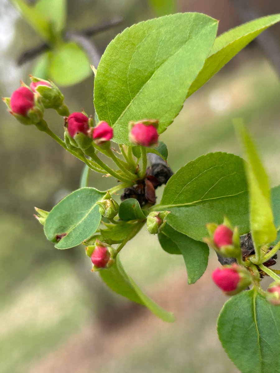 Des Moines Water Works💧 tweet media