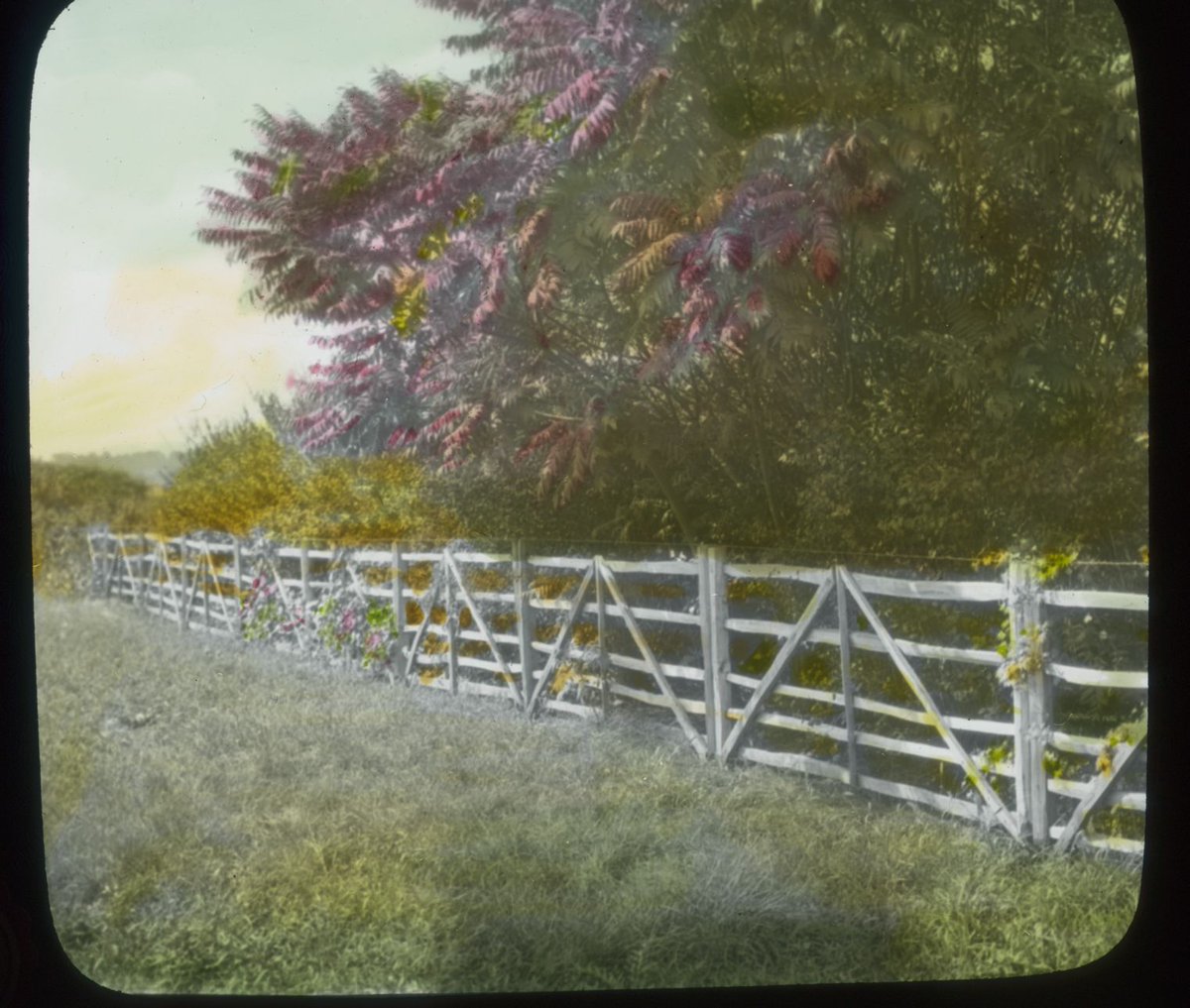 Des Moines Water Works💧 tweet media