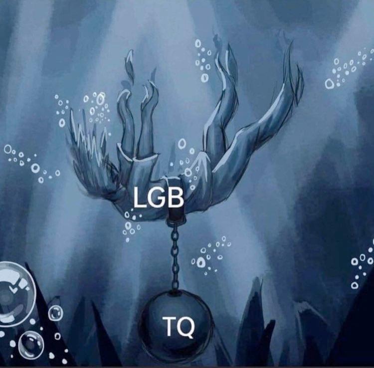 Frau Permaneder 🍪 🙅🕊️ tweet media