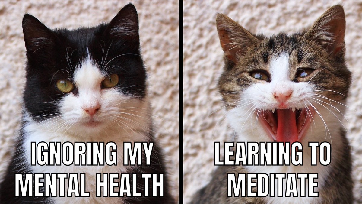 Warriors Respite, LLC tweet media