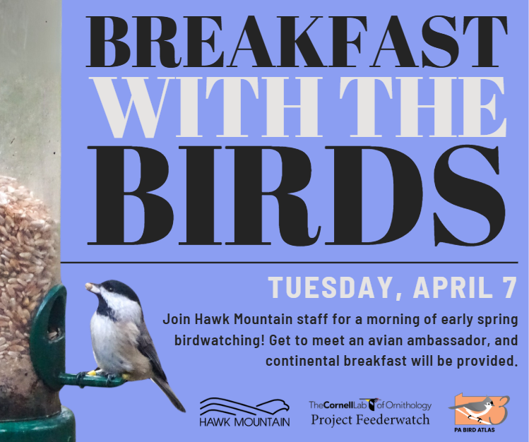 Hawk Mountain tweet media