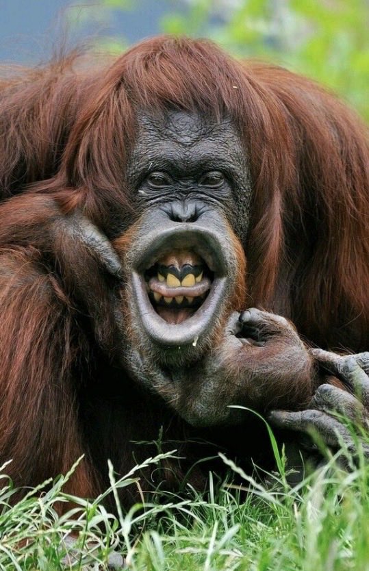 Daniel Architec tweet media