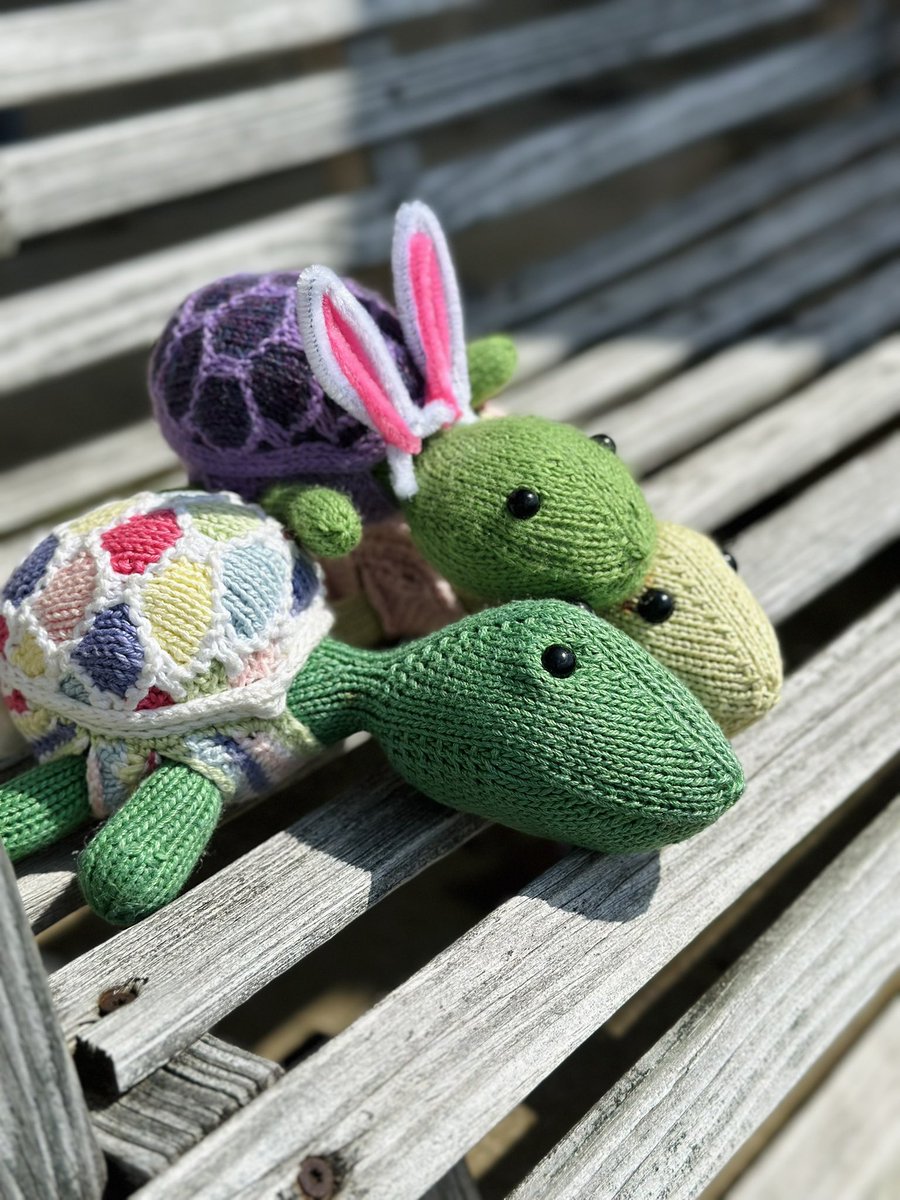 Maggie Rothenberger tweet media