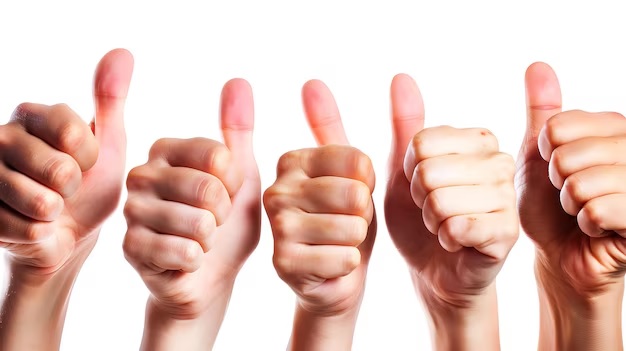 mario lutz tweet media