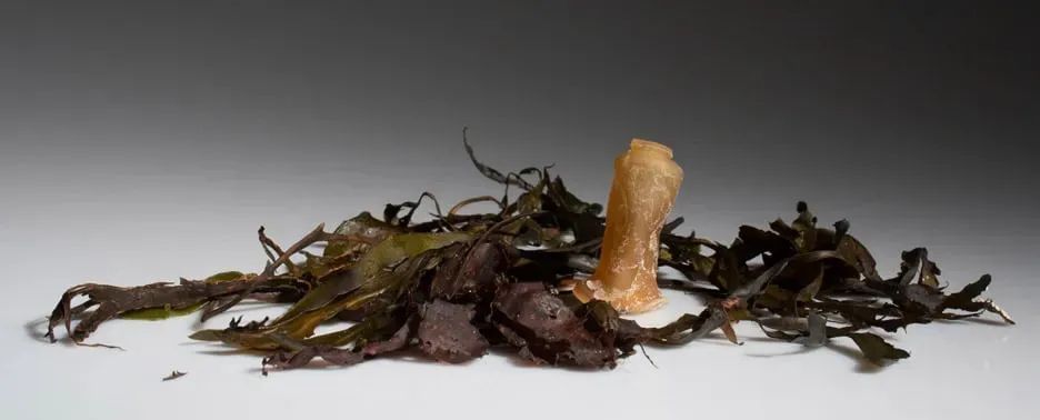 Why we don't hear about the project from 2016 anymore?
The bottle made from 100% natural, bio degradable materials.
It the user likes the taste, they could bite the bottle itself when you have finished drinking.
buff.ly/3haNak8