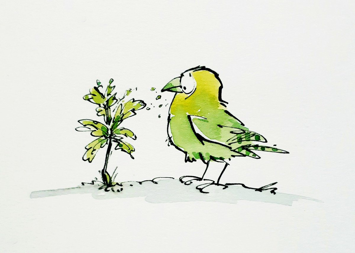 sketchbook corner: eat your greens....